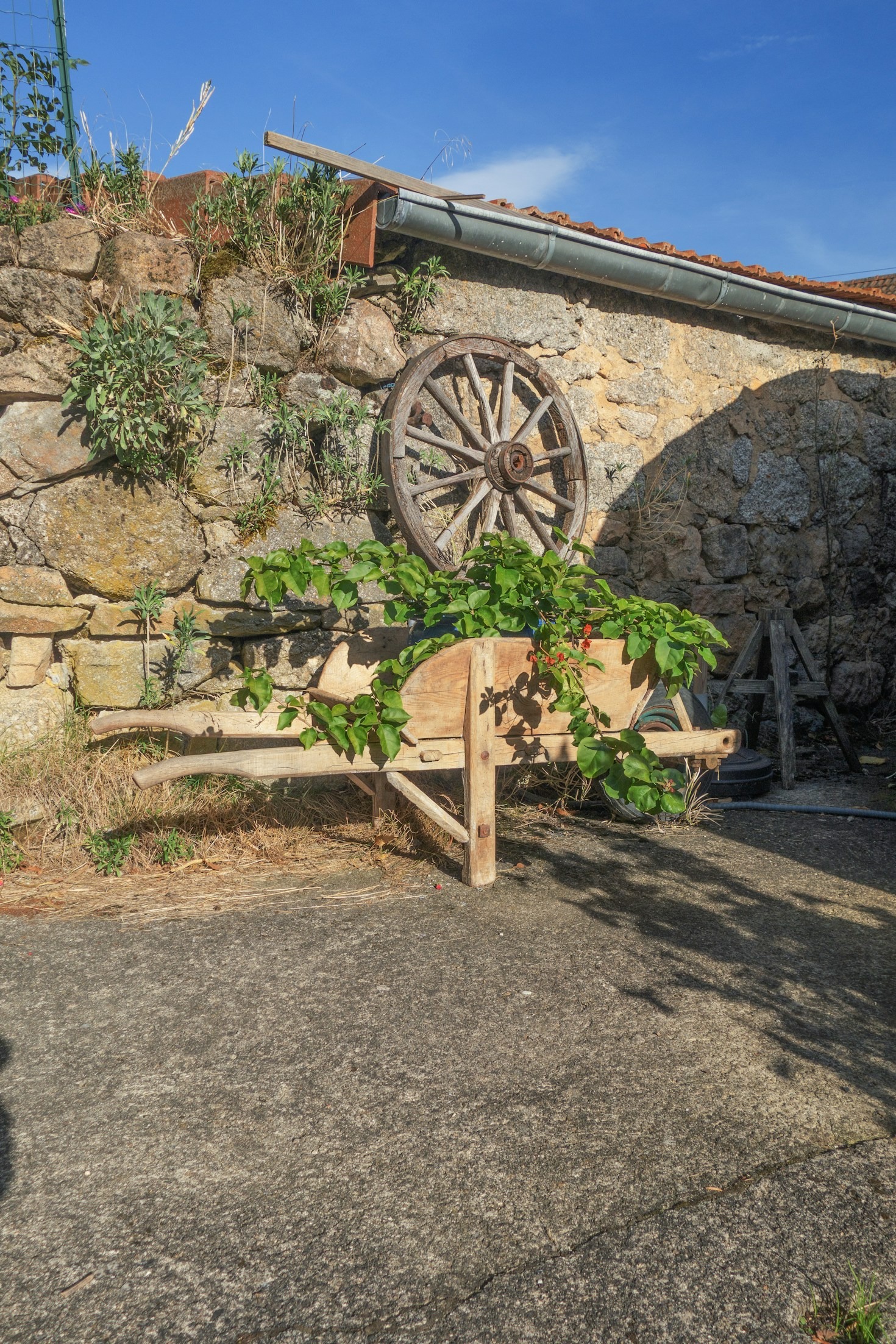 Why Cedar Wood is the Best Choice for Outdoor Products