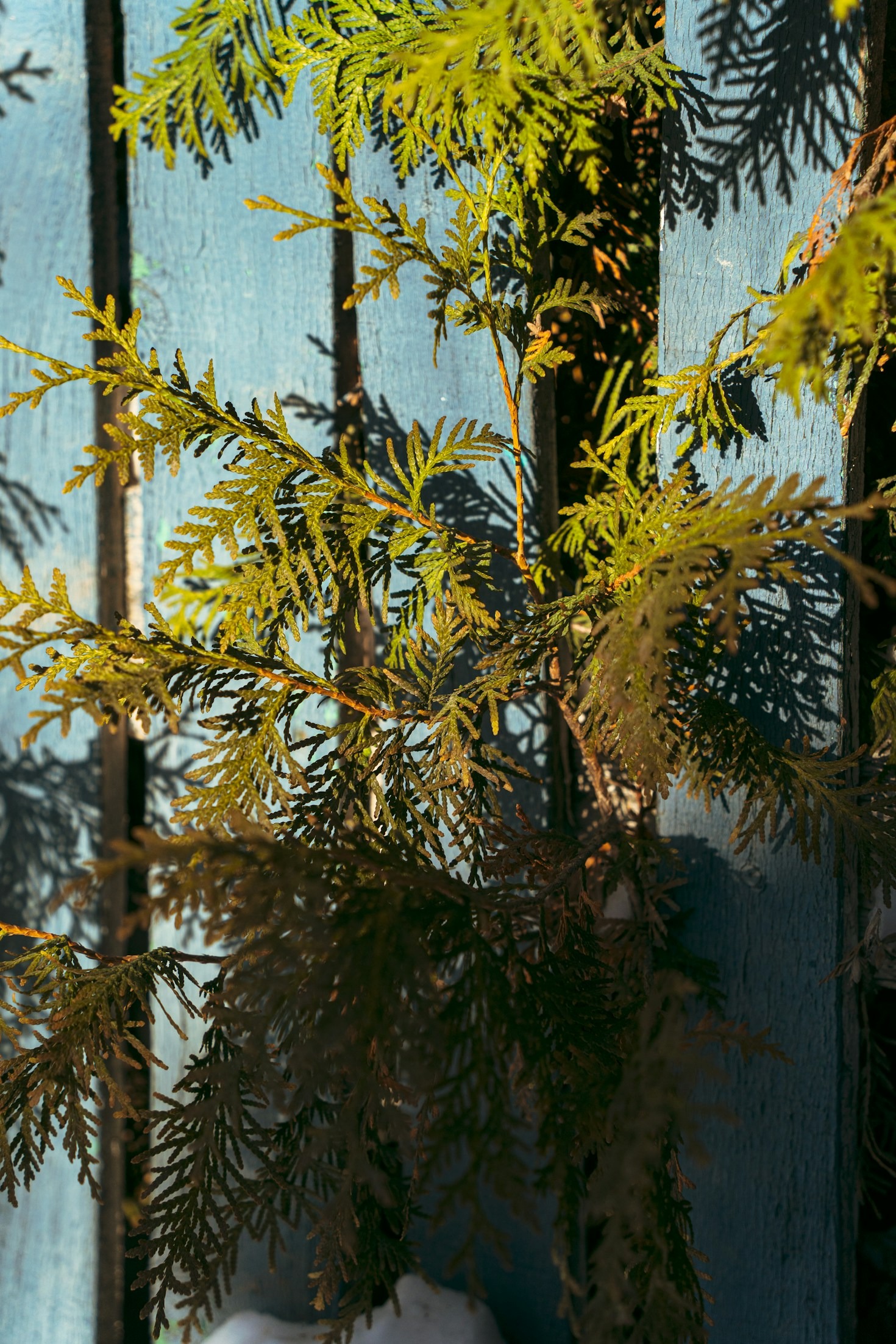 Elevate Your Outdoor Decor with Unique Wooden Pieces